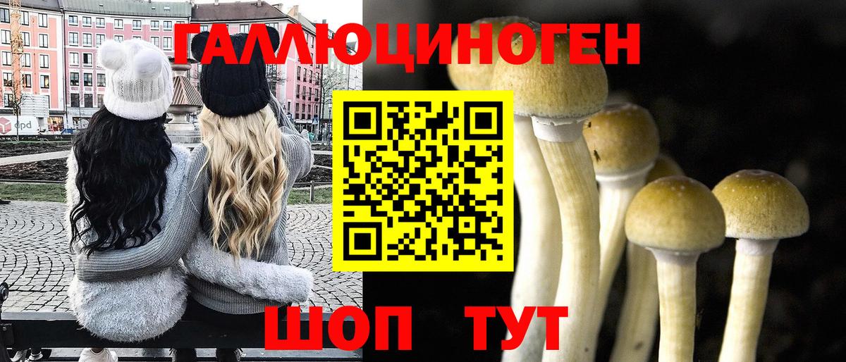 Галлюциногенные грибы Psilocybe  Вход с VPN  Ипатово  Галлюциногенные грибы Cubensis 